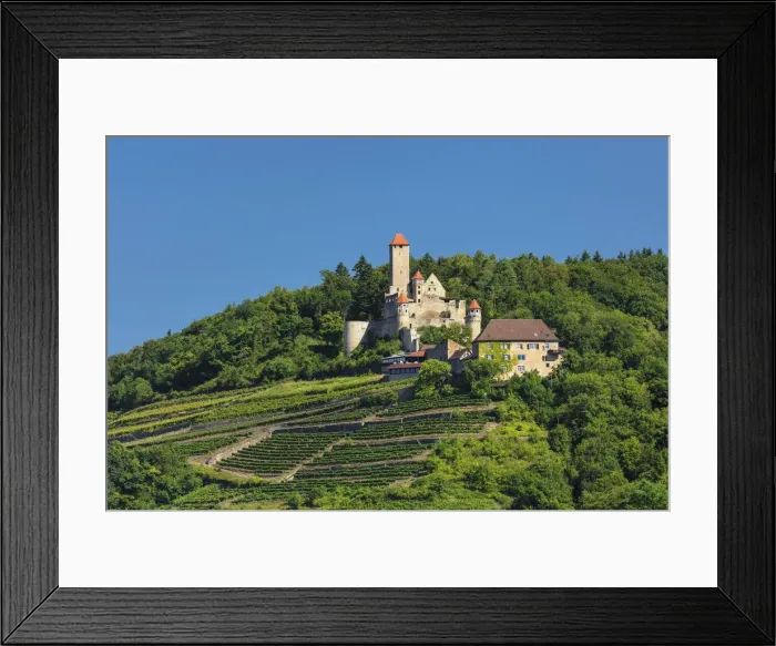 Framed Print : Hornberg Castle, Neckarzimmern, Neckartal Valley, Baden-Wurttemberg, Germany, Europe Framed Print : Hornberg Castle, Neckarzimmern, Neckartal Valley, Baden-Wurttemberg, Germany, Europe