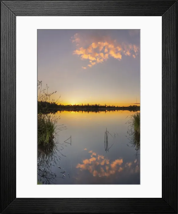 Framed Print : Riedsee lake in the high moor Wurzacher Ried, Bad Wurzach, Upper Swabia Framed Print : Riedsee lake in the high moor Wurzacher Ried, Bad Wurzach, Upper Swabia