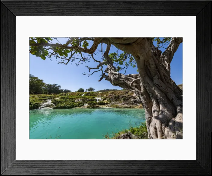 Framed Print : Turquoise waterfalls, Wadi Darbat, Salalah, Oman, Middle East Framed Print : Turquoise waterfalls, Wadi Darbat, Salalah, Oman, Middle East