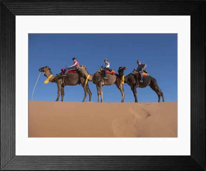 Framed Print : Tourists riding camels in the Erg Chebbi Desert, Sahara Desert, Morocco, North Africa