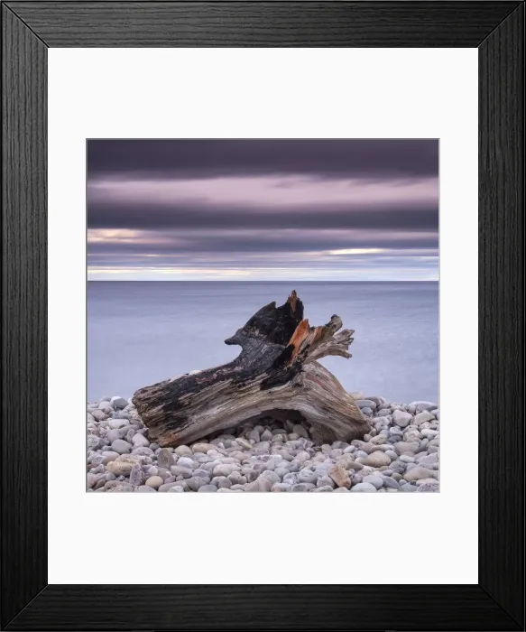 Framed Print : Driftwood on Spey Beach and the Moray Firth, Moray, Scotland, United Kingdom, Europe Framed Print : Driftwood on Spey Beach and the Moray Firth, Moray, Scotland, United Kingdom, Europe