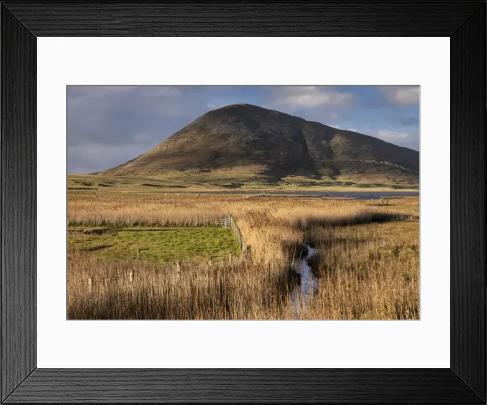 Framed Print : Northton Reed Beds backed by Ceapabhal, near Scarista, Isle of Harris, Outer Hebrides Framed Print : Northton Reed Beds backed by Ceapabhal, near Scarista, Isle of Harris, Outer Hebrides