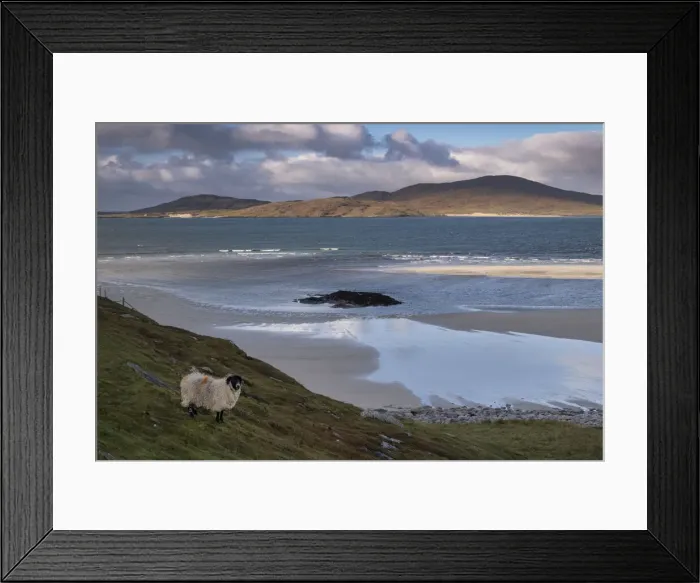 Framed Print : The Island of Taransay viewed across Seilebost Beach, Isle of Harris, Outer Hebrides Framed Print : The Island of Taransay viewed across Seilebost Beach, Isle of Harris, Outer Hebrides