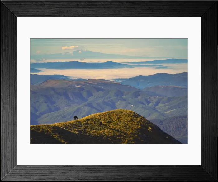 Framed Print : Horses at sunrise, Mount Acuto, Apennines, Umbria, Italy, Europe