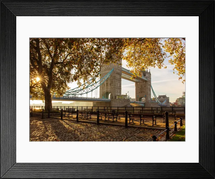 Framed Print : Autumn sunrise in grounds of the Tower of London, with Tower Bridge, London, England