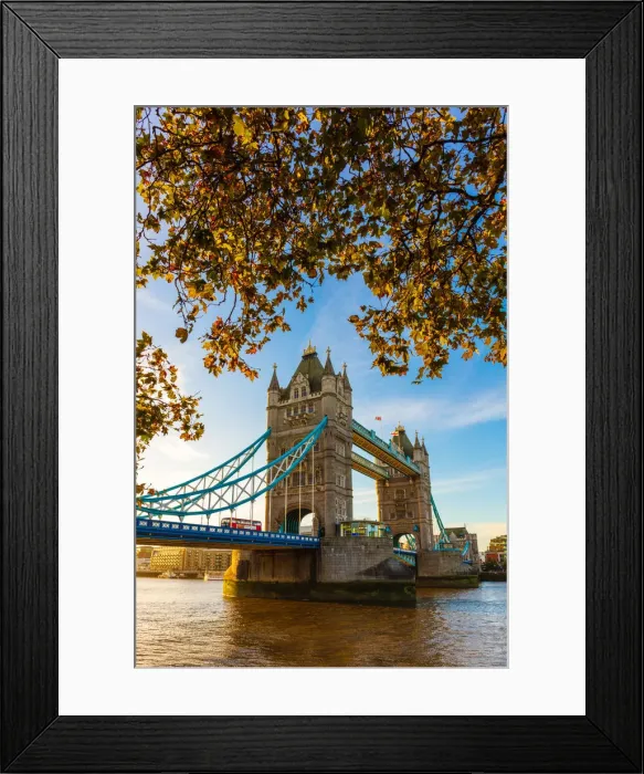 Framed Print : Autumn sunrise in grounds of the Tower of London, with Tower Bridge, London, England