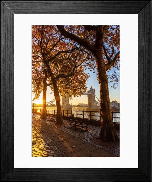 Framed Print : Autumn sunrise in grounds of the Tower of London, with Tower Bridge, London, England Framed Print : Autumn sunrise in grounds of the Tower of London, with Tower Bridge, London, England