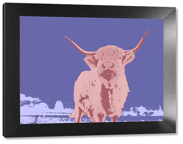 Warhol inspired Highland cattle