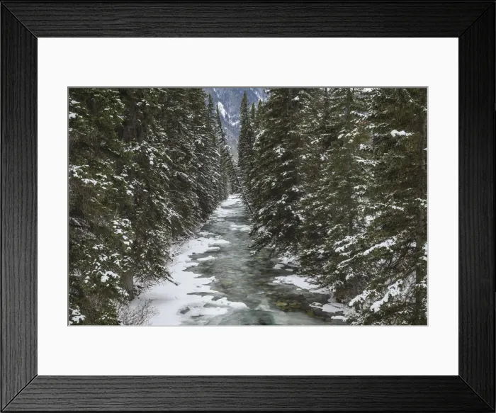 Framed Print : A glacial mountain river runs through a spruce forest in winter, Banff National Park, UNESCO World Heritage Site, Alberta, Canadian Rockies, Canada, North America Framed Print : A glacial mountain river runs through a spruce forest in winter, Banff National Park, UNESCO World Heritage Site, Alberta, Canadian Rockies, Canada, North America