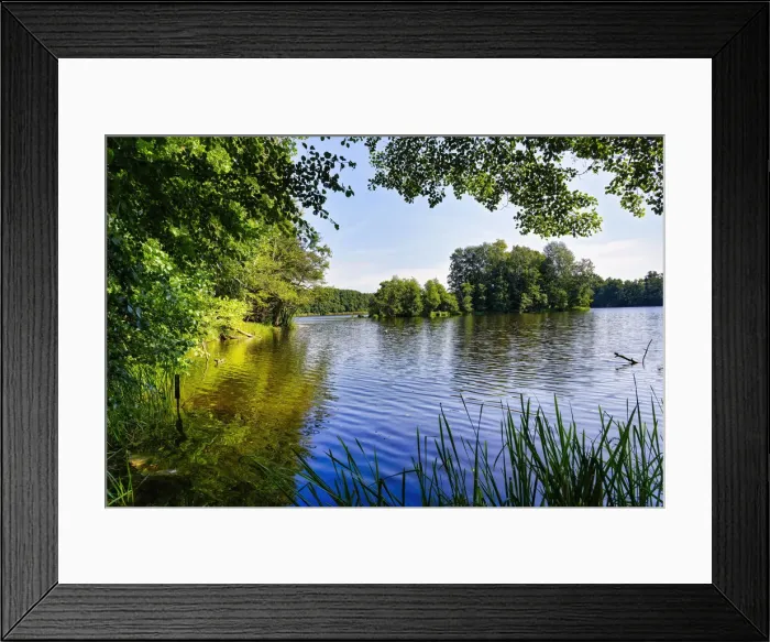 Framed Print : Lake Amts surrounded by forest, Biosphere reserve Schorfheide-Chorin, Brandenburg, Germany, Europe Framed Print : Lake Amts surrounded by forest, Biosphere reserve Schorfheide-Chorin, Brandenburg, Germany, Europe