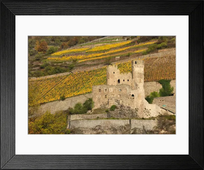 Framed Print : Castle ruin, Ehrenfels, Upper Middle Rhine Valley, Hesse, Germany, Europe