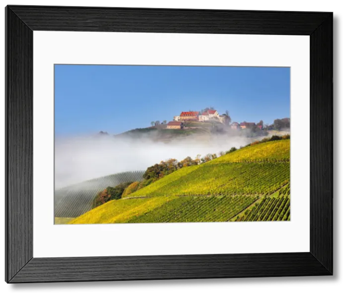 Framed Print : Schloss Staufenberg Castle, Durbach, Black Forest, Baden-Wurttemberg, Germany, Europe Framed Print : Schloss Staufenberg Castle, Durbach, Black Forest, Baden-Wurttemberg, Germany, Europe