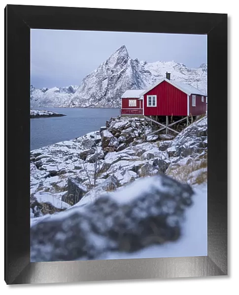 Red fishermens cabins covered with snow at dusk, Hamnoy, Nordland county, Lofoten Islands, Norway, Scandinavia, Europe