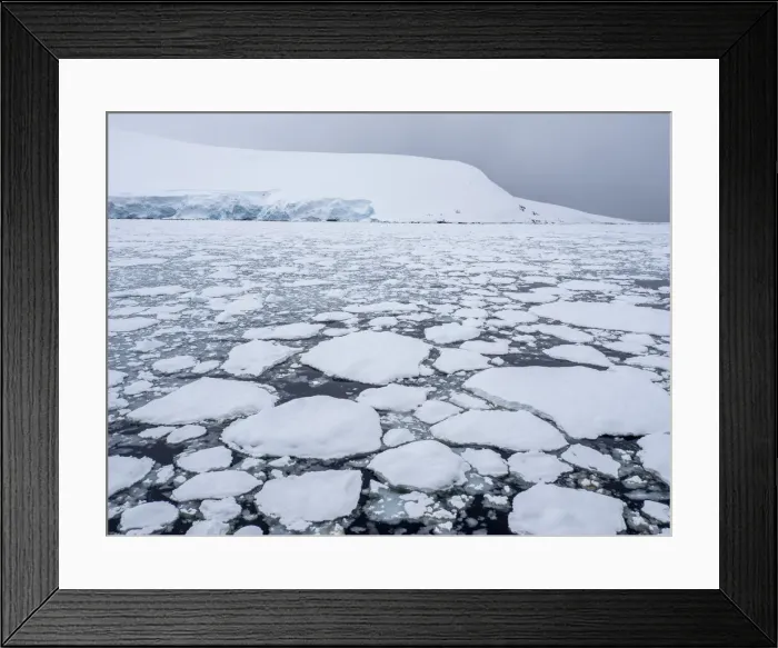 Framed Print : Sea ice forming as the temperature drops near Pleneau Island, Antarctica, Polar Regions Framed Print : Sea ice forming as the temperature drops near Pleneau Island, Antarctica, Polar Regions