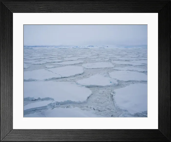 Framed Print : Stormy weather over pack ice and icebergs near Adelaide Island, Antarctica, Polar Regions Framed Print : Stormy weather over pack ice and icebergs near Adelaide Island, Antarctica, Polar Regions