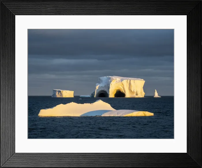 Framed Print : Large icebergs floating in the Bellingshausen Sea, Antarctica, Polar Regions Framed Print : Large icebergs floating in the Bellingshausen Sea, Antarctica, Polar Regions