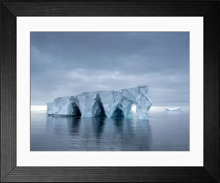 Framed Print : Large icebergs floating in the Bellingshausen Sea, Antarctica, Polar Regions Framed Print : Large icebergs floating in the Bellingshausen Sea, Antarctica, Polar Regions