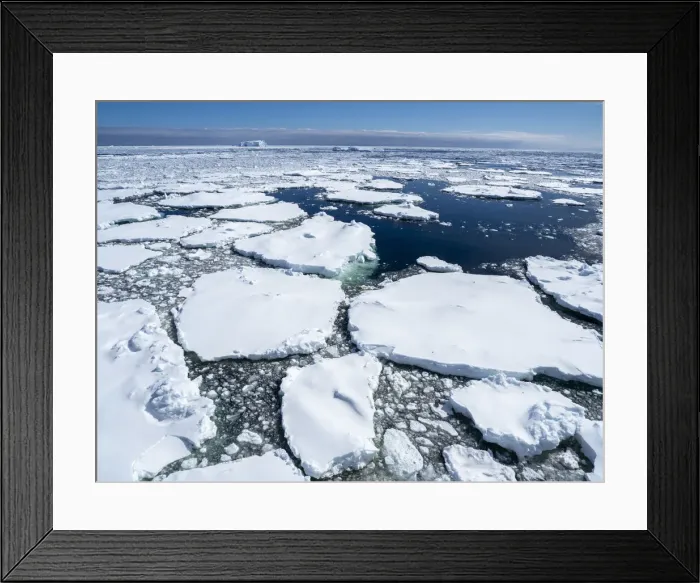 Framed Print : First year sea ice with glacial ice trapped near Petermann Island, Antarctica, Polar Regions Framed Print : First year sea ice with glacial ice trapped near Petermann Island, Antarctica, Polar Regions