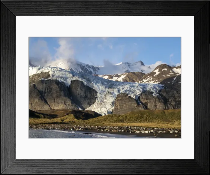 Framed Print : A view of the Bertrab Glacier in Gold Harbour on the island of South Georgia, South Atlantic, Polar Regions