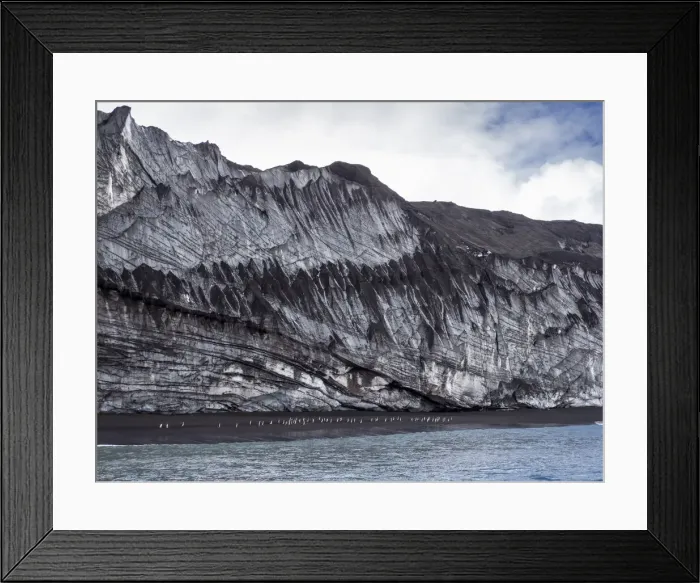 Framed Print : Penguins marching along a glacier face on Saunders Island, South Sandwich Islands, South Atlantic, Polar Regions Framed Print : Penguins marching along a glacier face on Saunders Island, South Sandwich Islands, South Atlantic, Polar Regions