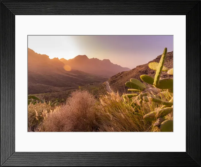 Framed Print : View of road and flora in mountainous landscape during golden hour near Tasarte, Gran Canaria, Canary Islands, Spain, Atlantic, Europe Framed Print : View of road and flora in mountainous landscape during golden hour near Tasarte, Gran Canaria, Canary Islands, Spain, Atlantic, Europe