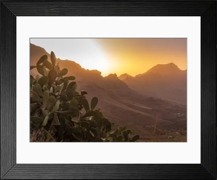 Framed Print : View of flora in mountainous landscape during golden hour near Tasarte, Gran Canaria, Canary Islands, Spain, Atlantic, Europe Framed Print : View of flora in mountainous landscape during golden hour near Tasarte, Gran Canaria, Canary Islands, Spain, Atlantic, Europe
