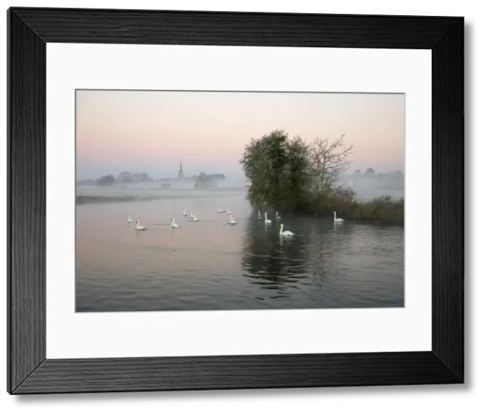 Framed Print : St. Lawrence Church and swans on River Thames in winter mist at dawn, Lechlade-on-Thames, Cotswolds, Gloucestershire, England, United Kingdom, Europe Framed Print : St. Lawrence Church and swans on River Thames in winter mist at dawn, Lechlade-on-Thames, Cotswolds, Gloucestershire, England, United Kingdom, Europe