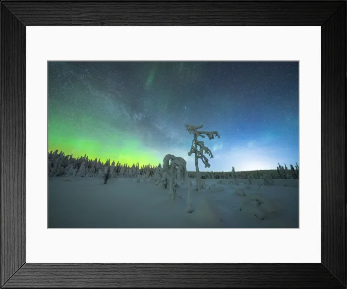 Framed Print : Isolated frozen trees in the snow under the Northern Lights (Aurora Borealis) in winter, Iso Syote, Lapland, Finland, Europe Framed Print : Isolated frozen trees in the snow under the Northern Lights (Aurora Borealis) in winter, Iso Syote, Lapland, Finland, Europe