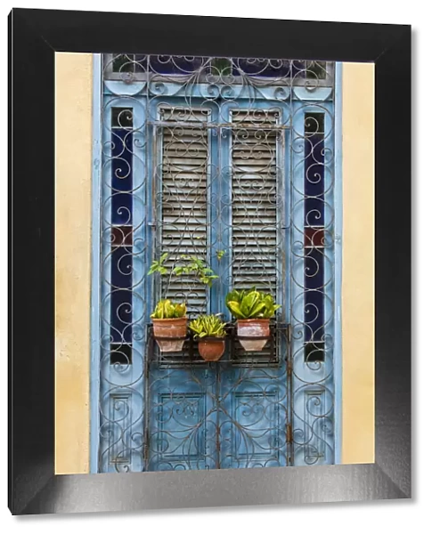 Plants in pots hanging on ornate doorway, Havana, Cuba, West Indies, Central America