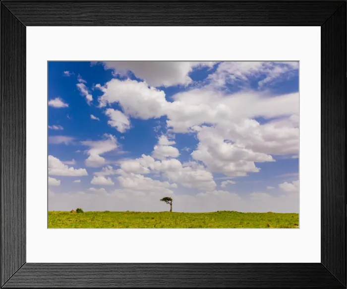 Framed Print : Landscape on Safari in the Msai Mara National Reserve, Kenya, East Africa, Africa Framed Print : Landscape on Safari in the Msai Mara National Reserve, Kenya, East Africa, Africa