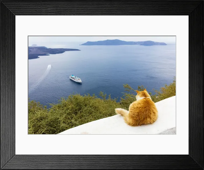 Framed Print : A ginger cat resting on a wall, overlooking a cruise ship in the Aegean Sea, Santorini, Cyclades, Greek Islands, Greece, Europe Framed Print : A ginger cat resting on a wall, overlooking a cruise ship in the Aegean Sea, Santorini, Cyclades, Greek Islands, Greece, Europe