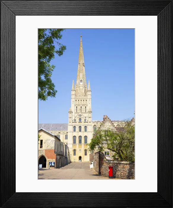 Framed Print : The Close, Norwich Cathedral and spire from the Cathedral Close, Norwich, Norfolk, East Anglia, England, United Kingdom, Europe Framed Print : The Close, Norwich Cathedral and spire from the Cathedral Close, Norwich, Norfolk, East Anglia, England, United Kingdom, Europe