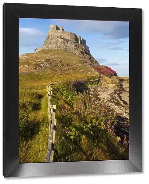 Lindisfarne Castle on a clifftop, Lindisfarne Island, Holy Island, Lindisfarne, Northumberland, England, United Kingdom, Europe
