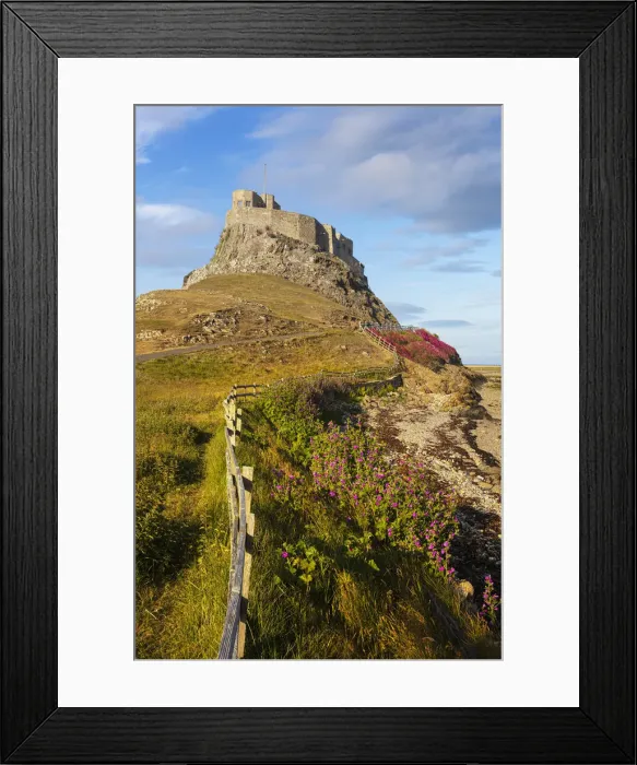 Framed Print : Lindisfarne Castle on a clifftop, Lindisfarne Island, Holy Island, Lindisfarne, Northumberland, England, United Kingdom, Europe Framed Print : Lindisfarne Castle on a clifftop, Lindisfarne Island, Holy Island, Lindisfarne, Northumberland, England, United Kingdom, Europe