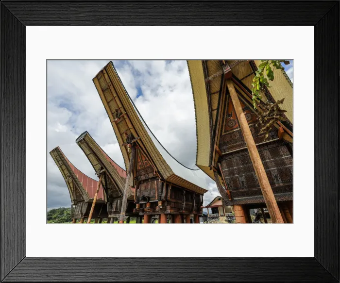 Framed Print : Saddleback roof tongkonans (family rice barns) (homes), Parinding, north of Rantepao, Parinding, Toraja, South Sulawesi, Indonesia, Southeast Asia, Asia Framed Print : Saddleback roof tongkonans (family rice barns) (homes), Parinding, north of Rantepao, Parinding, Toraja, South Sulawesi, Indonesia, Southeast Asia, Asia