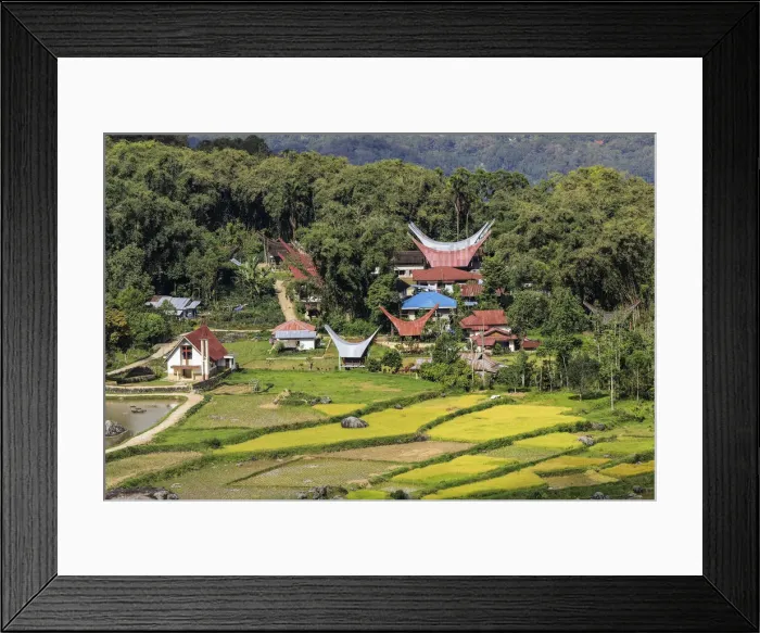 Framed Print : Church and tongkonan houses at Lempo amidst the Batutumonga rice paddies, Batutumonga, Rantepao, Toraja, South Sulawesi, Indonesia, Southeast Asia, Asia Framed Print : Church and tongkonan houses at Lempo amidst the Batutumonga rice paddies, Batutumonga, Rantepao, Toraja, South Sulawesi, Indonesia, Southeast Asia, Asia