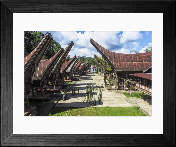 Framed Print : Tongkonan saddleback houses and rice barns inside family compound near Rantepao, La bo, Rantepao, Toraja, South Sulawesi, Indonesia, Southeast Asia, Asia Framed Print : Tongkonan saddleback houses and rice barns inside family compound near Rantepao, La bo, Rantepao, Toraja, South Sulawesi, Indonesia, Southeast Asia, Asia