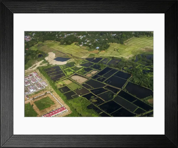 Framed Print : Rice fields and fish ponds on the Gulf of Boni estuarine coast near South Sulawesis second city, Palopo, Luwu, South Sulawesi, Indonesia, Southeast Asia, Asia Framed Print : Rice fields and fish ponds on the Gulf of Boni estuarine coast near South Sulawesis second city, Palopo, Luwu, South Sulawesi, Indonesia, Southeast Asia, Asia