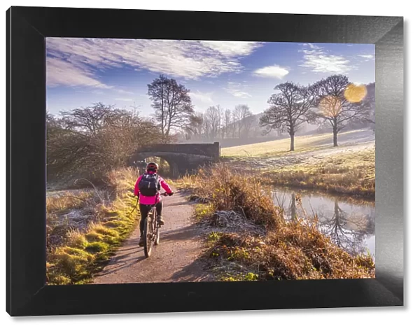 View of cyclist and frosty morning at the Cromford Canal, Derbyshire, England, United Kingdom, Europe