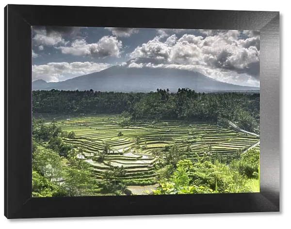 Rice terraces and fields with the Gunung Agung volcano in the background surrounded by clouds, Bali, Indonesia, Southeast Asia, Asia