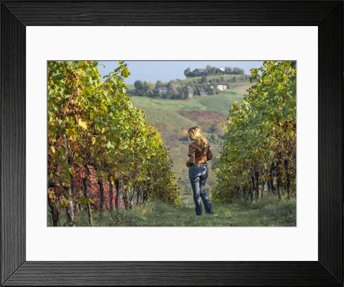 Framed Print : Woman in a brown jacket standing in the middle of a yellow vineyard in autumn, Castelvetro di Modena, Emilia Romagna, Italy, Europe Framed Print : Woman in a brown jacket standing in the middle of a yellow vineyard in autumn, Castelvetro di Modena, Emilia Romagna, Italy, Europe