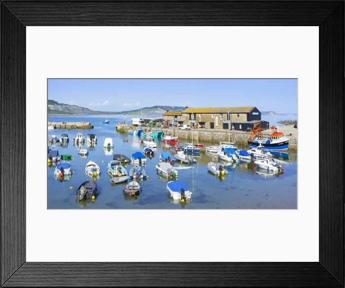 Framed Print : Fishing boats and yachts in the Jurassic Coast harbour at Lyme Regis, Dorset, England, United Kingdom, Europe Framed Print : Fishing boats and yachts in the Jurassic Coast harbour at Lyme Regis, Dorset, England, United Kingdom, Europe