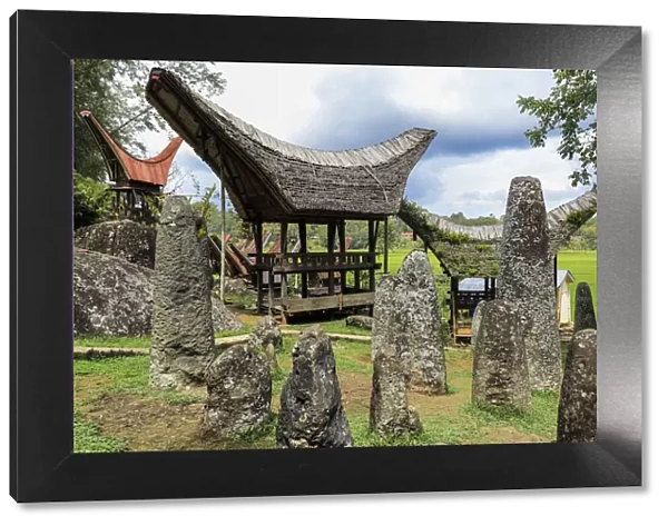 Bori Kalimbuang megalithic burial site with 102 menhirs near Rantepao, Bori, Rantepao, Toraja, South Sulawesi, Indonesia, Southeast Asia, Asia