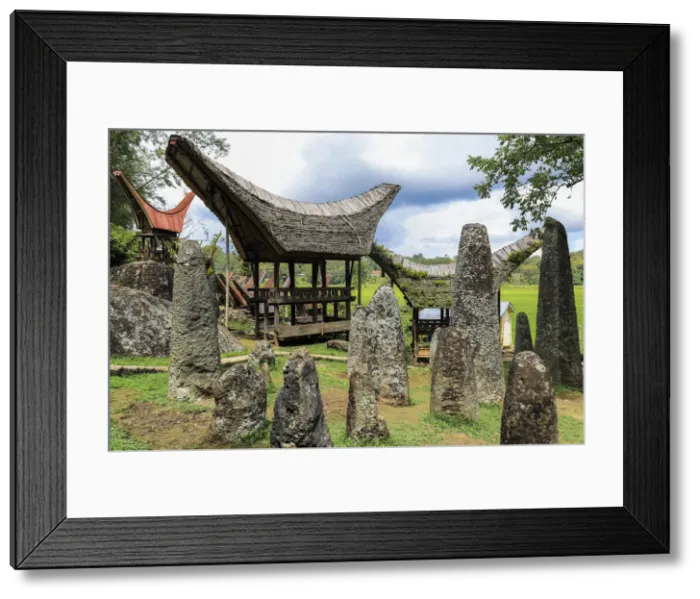 Framed Print : Bori Kalimbuang megalithic burial site with 102 menhirs near Rantepao, Bori, Rantepao, Toraja, South Sulawesi, Indonesia, Southeast Asia, Asia Framed Print : Bori Kalimbuang megalithic burial site with 102 menhirs near Rantepao, Bori, Rantepao, Toraja, South Sulawesi, Indonesia, Southeast Asia, Asia