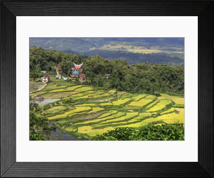 Framed Print : Church and tongkonan houses at Lempo amidst the Batutumonga rice paddies, Batutumonga, Rantepao, Toraja, South Sulawesi, Indonesia, Southeast Asia, Asia Framed Print : Church and tongkonan houses at Lempo amidst the Batutumonga rice paddies, Batutumonga, Rantepao, Toraja, South Sulawesi, Indonesia, Southeast Asia, Asia