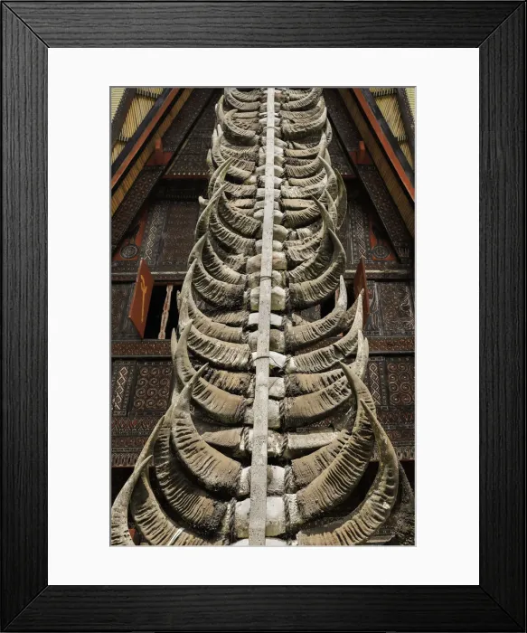 Framed Print : Sacrificial buffalo horns show the status of a Tongkonan house at Parinding, Lombok Parinding, Toraja, South Sulawesi, Indonesia, Southeast Asia, Asia Framed Print : Sacrificial buffalo horns show the status of a Tongkonan house at Parinding, Lombok Parinding, Toraja, South Sulawesi, Indonesia, Southeast Asia, Asia