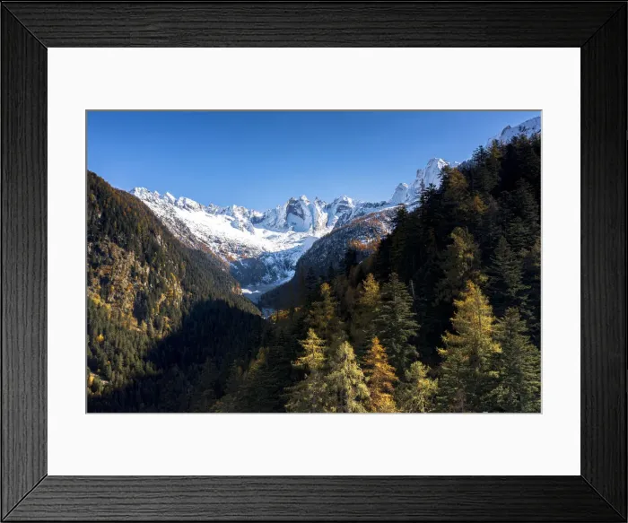 Framed Print : Clear sky over the snowcapped Sciore mountains and Cengalo peak framed by woods in autumn, Val Bregaglia, Graubunden, Switzerland, Europe Framed Print : Clear sky over the snowcapped Sciore mountains and Cengalo peak framed by woods in autumn, Val Bregaglia, Graubunden, Switzerland, Europe