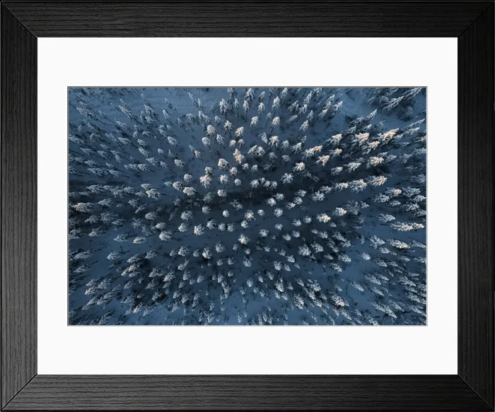 Framed Print : Frozen spruce trees in the snowcapped forest during the arctic winter, aerial view, Lapland, Finland, Europe Framed Print : Frozen spruce trees in the snowcapped forest during the arctic winter, aerial view, Lapland, Finland, Europe