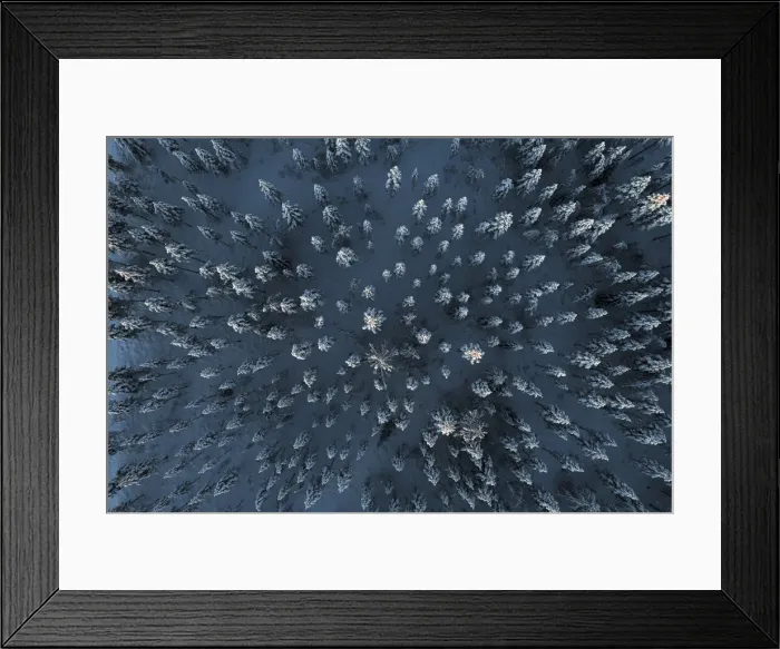 Framed Print : Trees covered with snow in the frozen forest from above, aerial view, Lapland, Finland, Europe Framed Print : Trees covered with snow in the frozen forest from above, aerial view, Lapland, Finland, Europe
