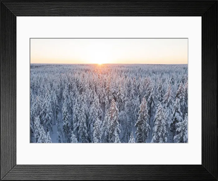 Framed Print : Arctic sunrise over the snowcapped forest in winter, Lapland, Finland, Europe Framed Print : Arctic sunrise over the snowcapped forest in winter, Lapland, Finland, Europe